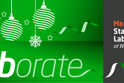 F 7954 MSL Christmas eLaborate