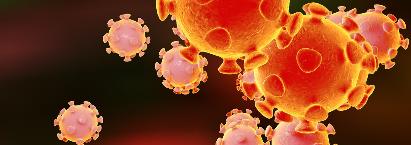 Virus